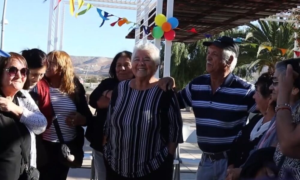 Vínculos