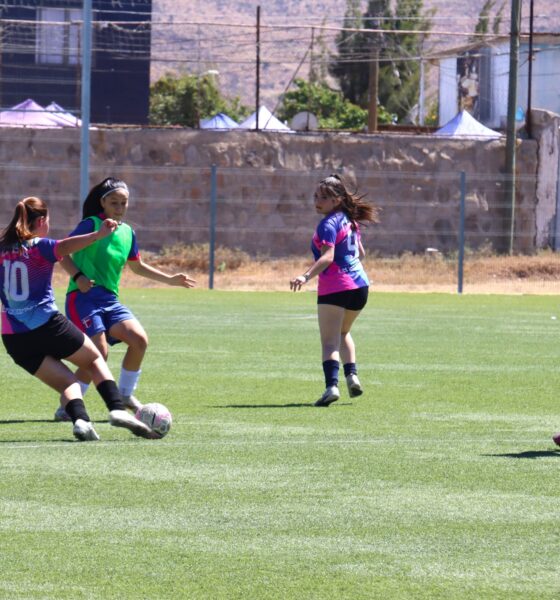 fútbol femenino